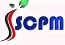 Siliguri Cargo Packers And Movers